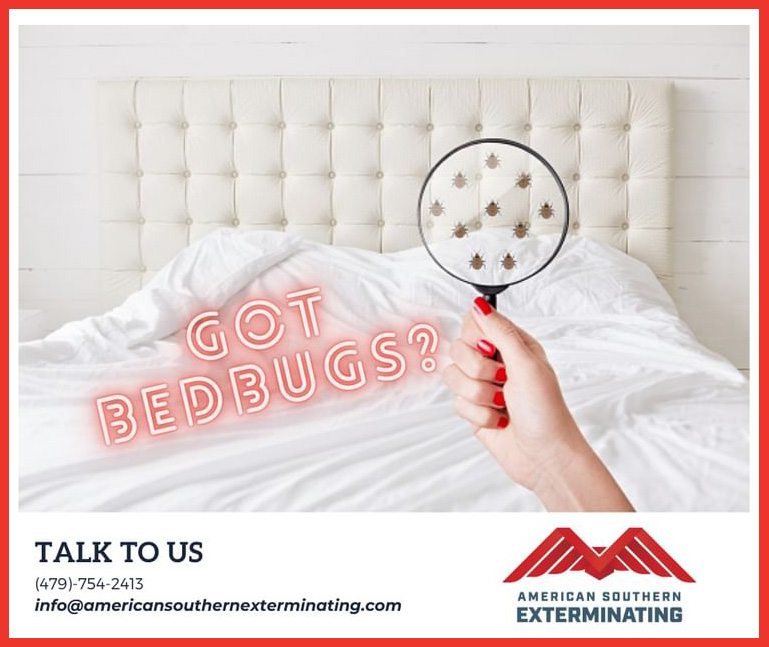 Effective Bed Bug Treatment American Southern Exterminating 